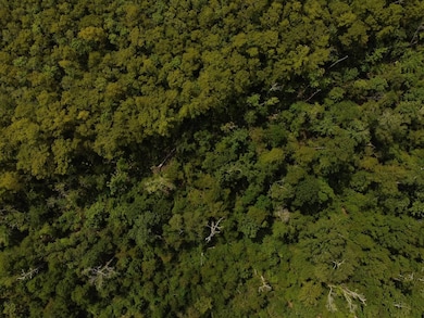 TBD Gunboat Landing Rd, Maurepas, LA 70449 - photo 4