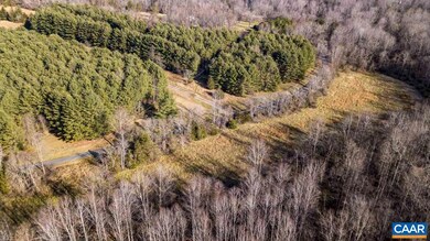 1648 Dudley Mountain Rd, University, VA 22903 - photo 4