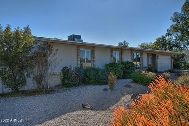 5049 E Cactus Rd Scottsdale AZ-large-003