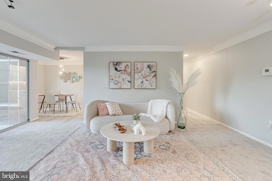 1923 Wilson Ln unit 202, McLean, VA 22102 - photo 5