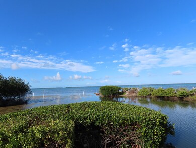Canal view