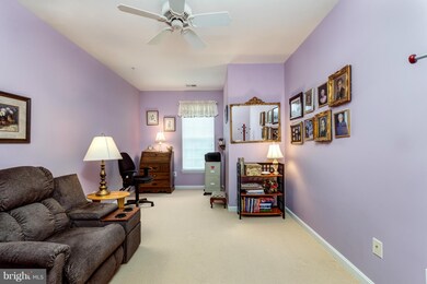 7305 Brookview Rd unit 302, Elkridge, MD 21075 - photo 7