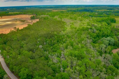 0 Pee Dee Hwy unit 25650621, Conway, SC 29527 - photo 4