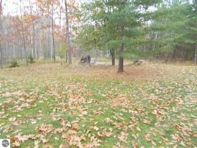 2524 Plainfield Rd, Hale, MI 48739 - photo 5