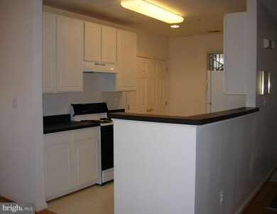 5002 Willow Branch Way unit 103, Owings Mills, MD 21117 - photo 6