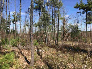 Lot 56-52-1 Federal Hill Rd unit 56-52-1, Milford, NH 03055 - photo 5