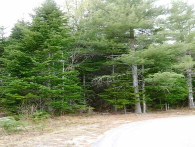 00 Deer Path, Carroll, NH 03595 - photo 6