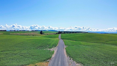 TBD Basket Rd, Nezperce, ID 83543 - photo 3