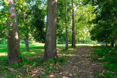 Lot 13 Lazy River Rd E, Luray, VA 22835 - photo 4