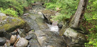 00 Dexter Mountain Rd, Glover, VT 05839 - photo 6