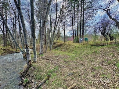 250 S Meadow Ln, Hayfork, CA 96041 - photo 3