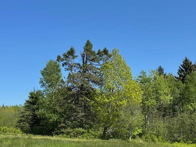 104 County Rd, Eastport, ME 04631 - photo 4