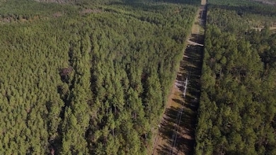 0 McDonald Rd, Lucedale, MS 39452 - photo 5