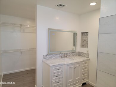 mstr closet and sink