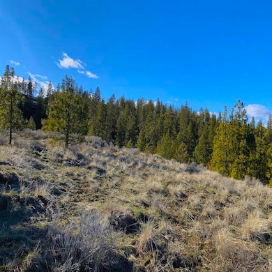 31775 Ruffed Grouse Dr E, Davenport, WA 99122 - photo 3