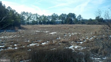 2796 Lakesville Crapo Rd, Church Creek, MD 21622 - photo 5