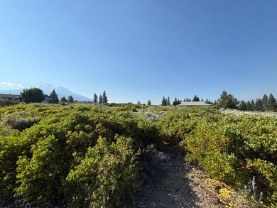 Unit 7-2 Lot 92 Puma Dr unit 7-2, Weed, CA 96094 - photo 4