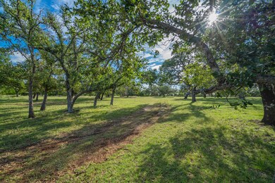 1289 Curtis Ln, Fredericksburg, TX 78624 - photo 2