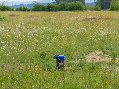 0 Laussier Rd unit L4 23130486, Toledo, WA 98591 - photo 7