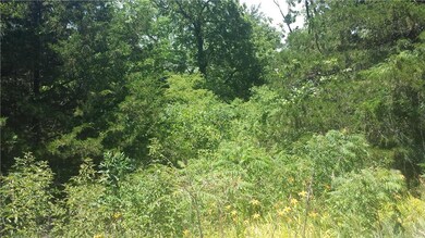 Gorgeous mature trees with great hiking and views!