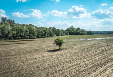 000 Shawneetown Ford Spur Tract A, Union, MO 63084 - photo 4