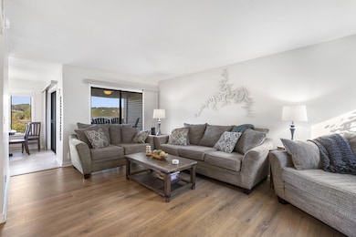 361 Anchors Point Ln unit 301, Kimberling City, MO 65686 - photo 7