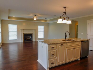 Kitchen and Family Room