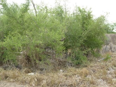 0 E Mile 12 N, Progreso Lakes, TX 78596 - photo 3
