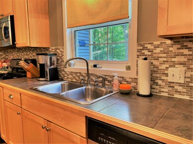 14291 Wildwood Ln, Three Oaks, MI 49128 - photo 4