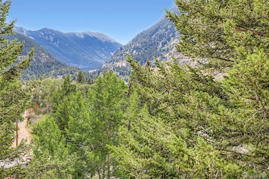 819 Valley View Dr, Georgetown, CO 80444 - photo 2