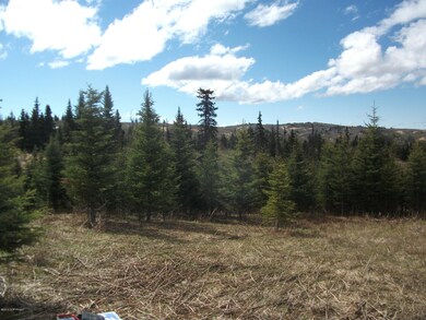 More Meadow