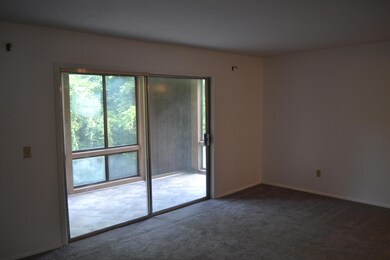 Main Living Area