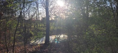 11760 Whispering Pines Rd, Neosho, MO 64850 - photo 3