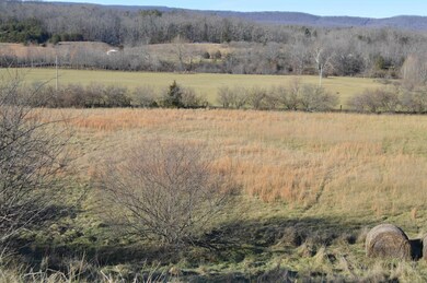 0015 Johns Creek Mountain Rd, New Castle, VA 24127 - photo 5