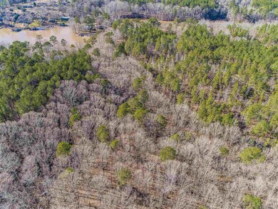 0 Twin Bridges Rd unit 58506, Eatonton, GA 31024 - photo 3