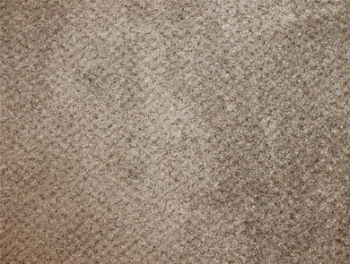 New carpeting June 2019: Great room, hallway, and 