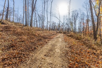 1548 Rabe Coats Rd, Westmoreland, TN 37186 - photo 4