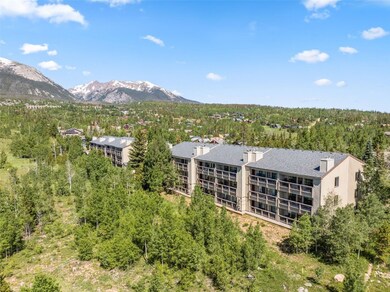 4624 Ryan Gulch Rd unit 4624, Silverthorne, CO 80498 - photo 4