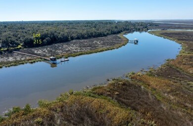 10 Preston Cir, Saint Simons Island, GA 31522 - photo 2