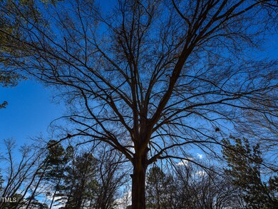 exterior - front tree - ok