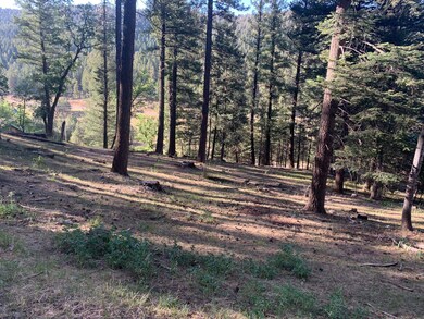 0 Canyon Trail unit 85 168237, Cloudcroft, NM 88317 - photo 2