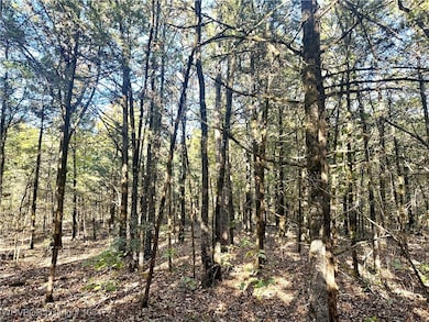 Tract 3 Benson Ln, Heavener, OK 74937 - photo 5