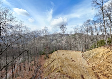 Lot 20 Walnut Cove Branch, Robbinsville, NC 28771 - photo 2
