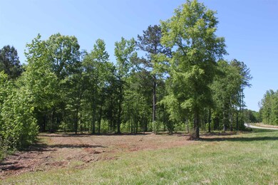 1210 Sailview Dr, Buckhead, GA 30625 - photo 7