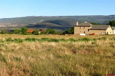 0 NW Sage Ave unit 690849, Cedaredge, CO 81413 - photo 6