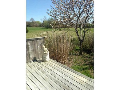 Yard/Garden.