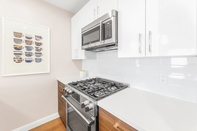 425 Lagrange St unit 307, West Roxbury, MA 02132 - photo 6