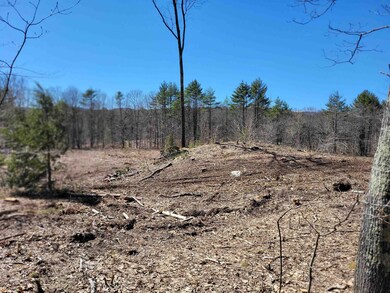 6 Eagle Pond Rd, Andover, NH 03216 - photo 4