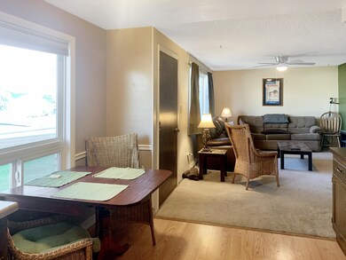 Dining Area / Living Room