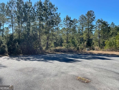 0 Landing Trail, Waynesville, GA 31566 - photo 3